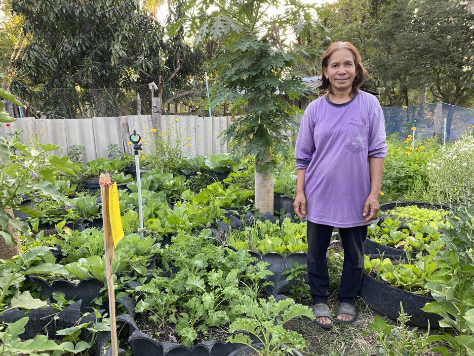 ครัวเรือนต้นแบบ สร้างความมั่นคงทางอาหารอย่างยั่งยืน