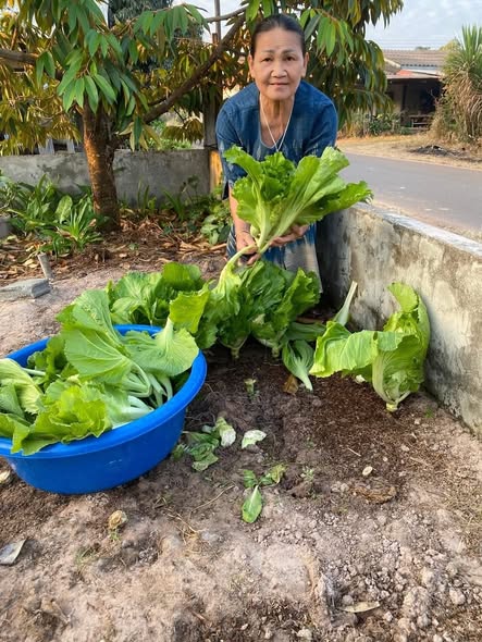 ครัวเรือนต้นแบบ สร้างความมั่นคงทางอาหารอย่างยั่งยืน
