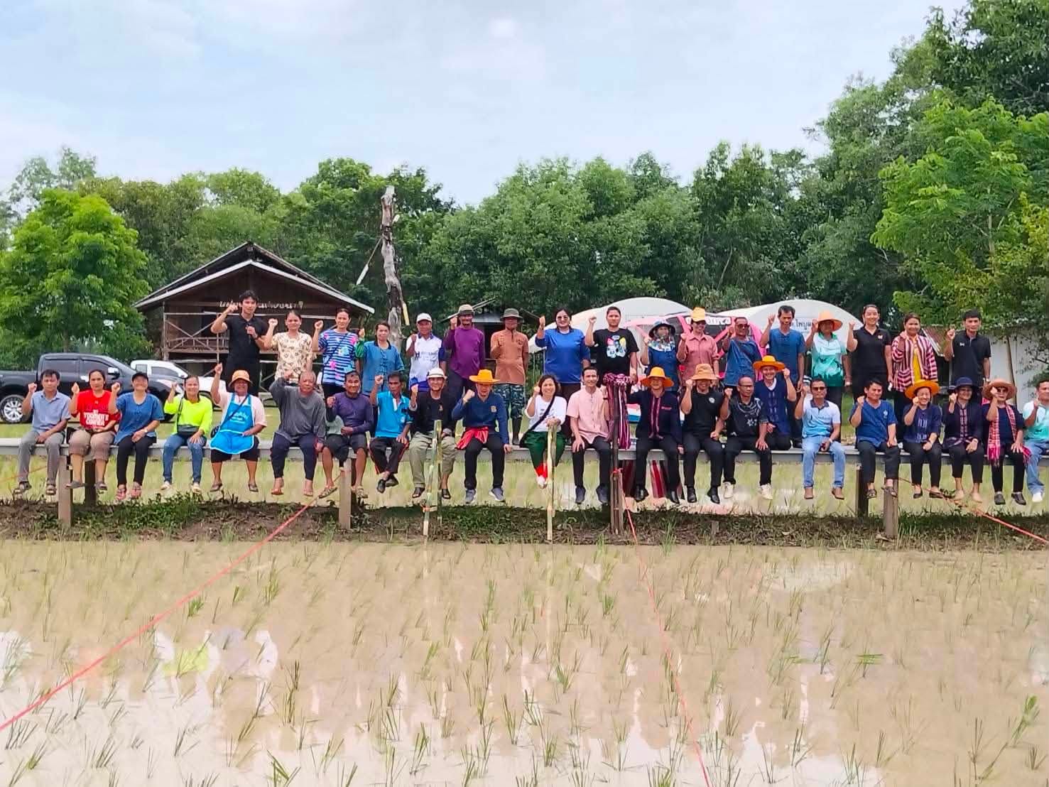 พช.น้ำขุ่น จัดงานสืบสานประเพณี วิถีคนทำนา “กิจกรรมลงแขกดำนา ชิมปลาลำห้วยซอม” ฟื้นฟูวิถีชุมชน เสริมสร้างความสามัคคีอย่างยั่งยืน